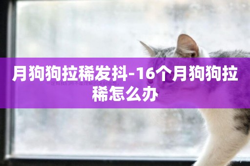 月狗狗拉稀發抖-16個月狗狗拉稀怎么辦