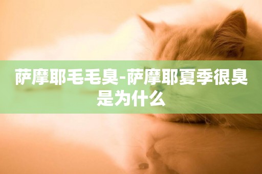 薩摩耶毛毛臭-薩摩耶夏季很臭是為什么