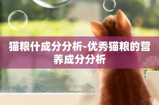 貓糧什成分分析-優秀貓糧的營養成分分析