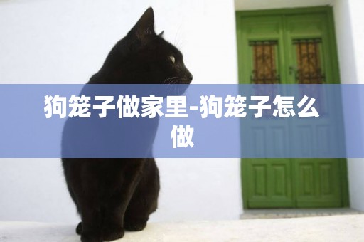 狗籠子做家里-狗籠子怎么做