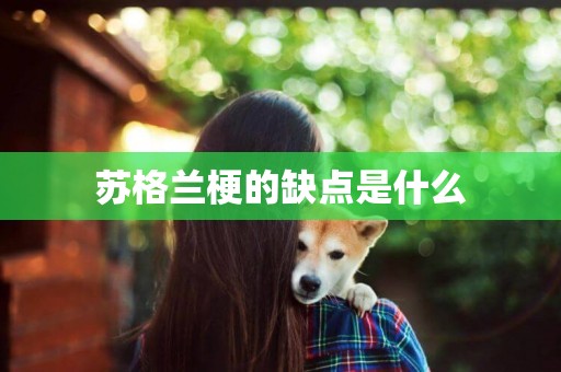 蘇格蘭梗的缺點是什么
