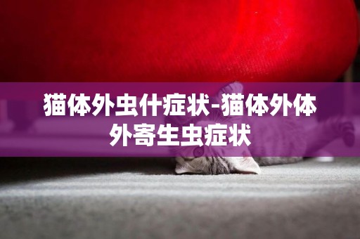 貓體外蟲什癥狀-貓體外體外寄生蟲癥狀