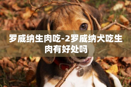 羅威納生肉吃-2羅威納犬吃生肉有好處嗎