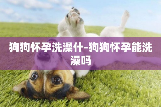 狗狗懷孕洗澡什-狗狗懷孕能洗澡嗎