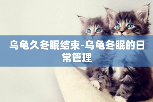 烏龜久冬眠結束-烏龜冬眠的日常管理