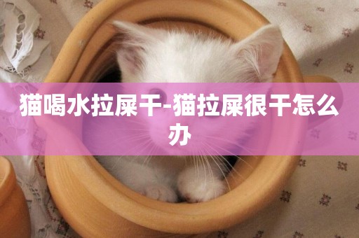 貓喝水拉屎干-貓拉屎很干怎么辦