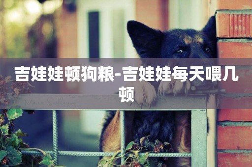 吉娃娃頓狗糧-吉娃娃每天喂幾頓