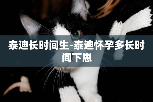 泰迪長時間生-泰迪懷孕多長時間下崽