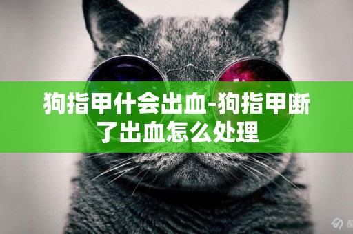 狗指甲什會出血-狗指甲斷了出血怎么處理