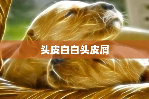 頭皮白白頭皮屑