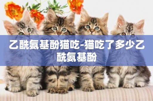乙酰氨基酚貓吃-貓吃了多少乙酰氨基酚