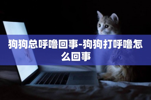 狗狗總呼嚕回事-狗狗打呼嚕怎么回事