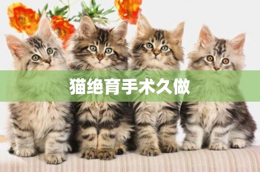 貓絕育手術久做
