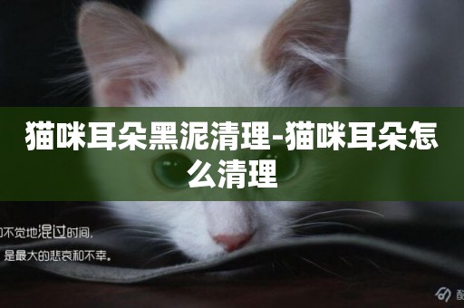 貓咪耳朵黑泥清理-貓咪耳朵怎么清理