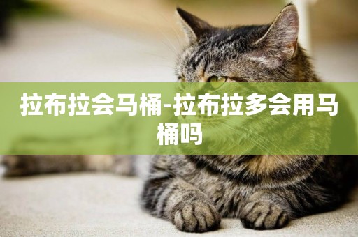 拉布拉會馬桶-拉布拉多會用馬桶嗎