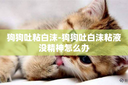 狗狗吐粘白沫-狗狗吐白沫粘液沒精神怎么辦