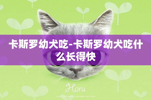 卡斯羅幼犬吃-卡斯羅幼犬吃什么長得快