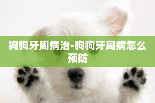 狗狗牙周病治-狗狗牙周病怎么預防