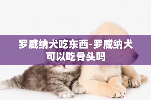 羅威納犬吃東西-羅威納犬可以吃骨頭嗎