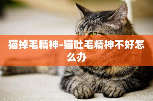 貓掉毛精神-貓吐毛精神不好怎么辦