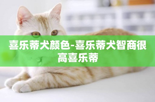 喜樂蒂犬顏色-喜樂蒂犬智商很高喜樂蒂
