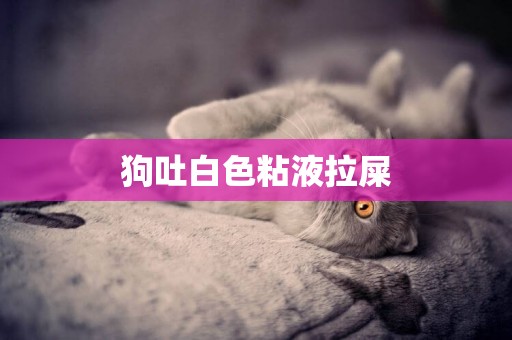 狗吐白色粘液拉屎