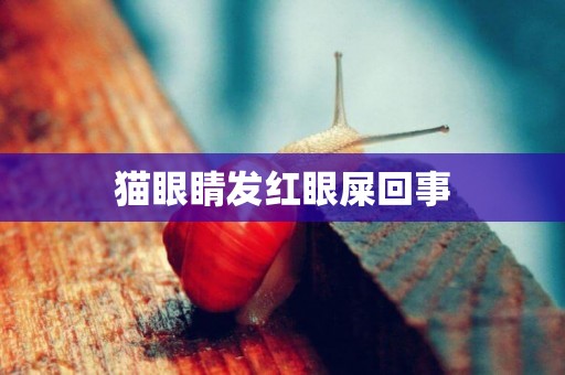 貓眼睛發紅眼屎回事