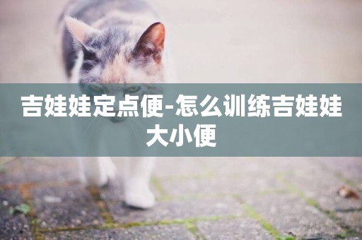 吉娃娃定點便-怎么訓練吉娃娃大小便