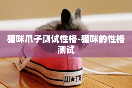 貓咪爪子測試性格-貓咪的性格測試