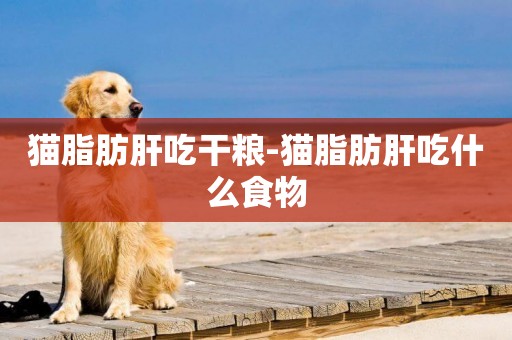 貓脂肪肝吃干糧-貓脂肪肝吃什么食物