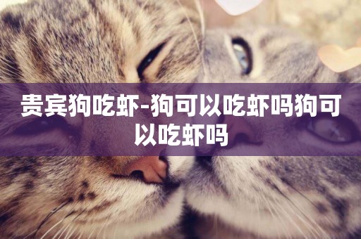貴賓狗吃蝦-狗可以吃蝦嗎狗可以吃蝦嗎
