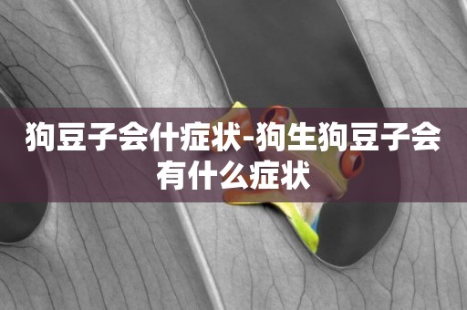 狗豆子會什癥狀-狗生狗豆子會有什么癥狀