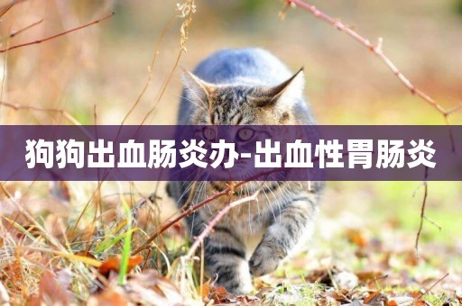 狗狗出血腸炎辦-出血性胃腸炎