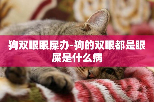 狗雙眼眼屎辦-狗的雙眼都是眼屎是什么病