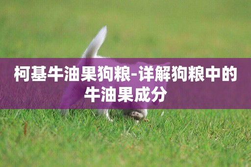 柯基牛油果狗糧-詳解狗糧中的牛油果成分