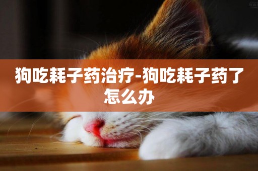 狗吃耗子藥治療-狗吃耗子藥了怎么辦