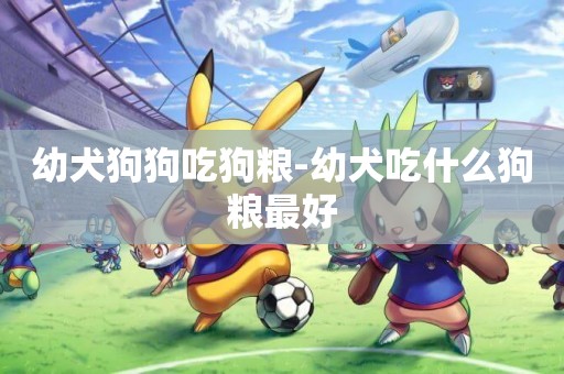 幼犬狗狗吃狗糧-幼犬吃什么狗糧最好