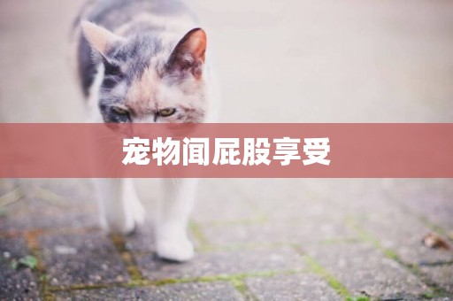 寵物聞屁股享受