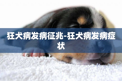 狂犬病發病征兆-狂犬病發病癥狀