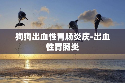 狗狗出血性胃腸炎慶-出血性胃腸炎