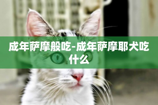成年薩摩般吃-成年薩摩耶犬吃什么