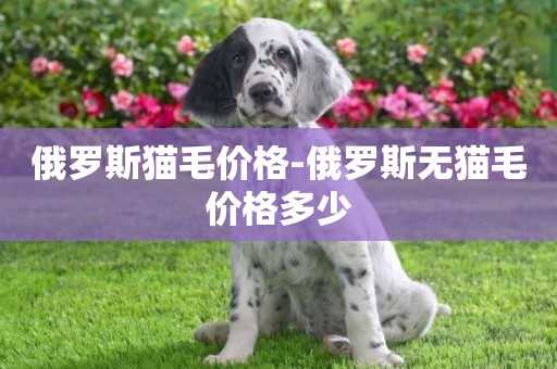 俄羅斯貓毛價格-俄羅斯無貓毛價格多少