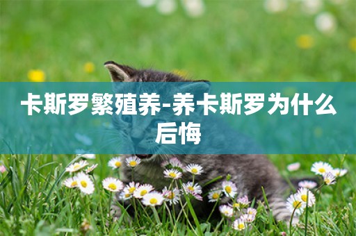 卡斯羅繁殖養-養卡斯羅為什么后悔