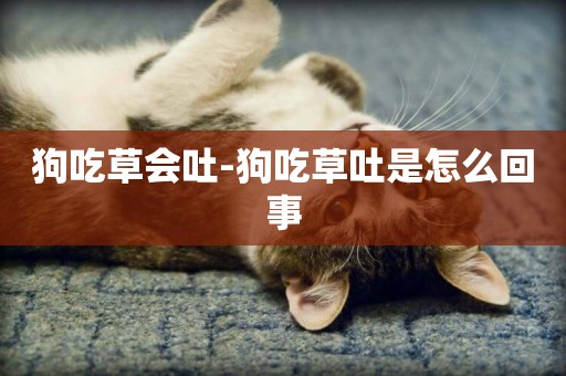 狗吃草會吐-狗吃草吐是怎么回事