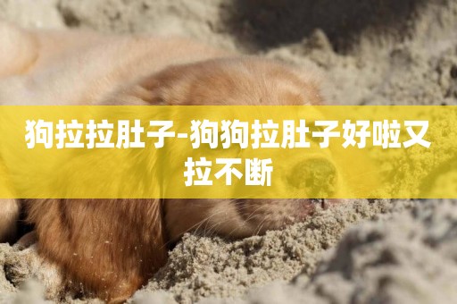 狗拉拉肚子-狗狗拉肚子好啦又拉不斷