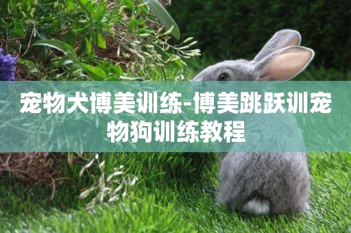 寵物犬博美訓練-博美跳躍訓寵物狗訓練教程