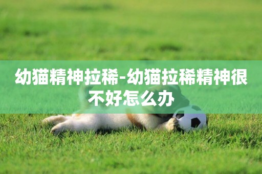 幼貓精神拉稀-幼貓拉稀精神很不好怎么辦