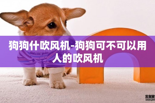 狗狗什吹風機-狗狗可不可以用人的吹風機