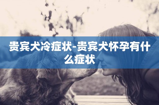 貴賓犬冷癥狀-貴賓犬懷孕有什么癥狀