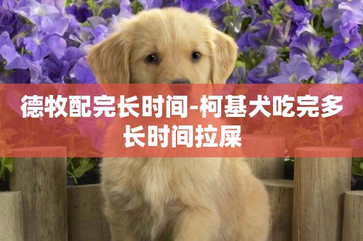 德牧配完長時間-柯基犬吃完多長時間拉屎